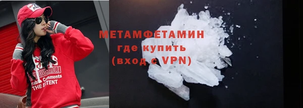 прущие грибы Иннополис