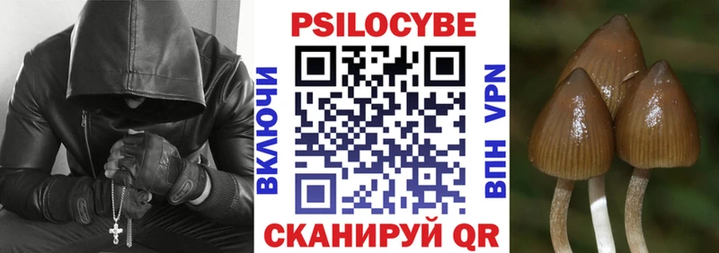 Галлюциногенные грибы прущие грибы  Купить где  Поронайск 